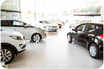 Untitled design (12)